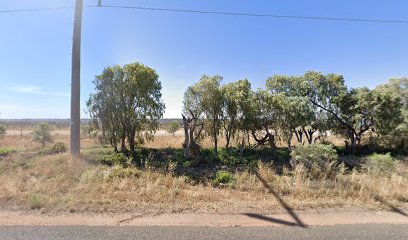 Griffith Solar Farm