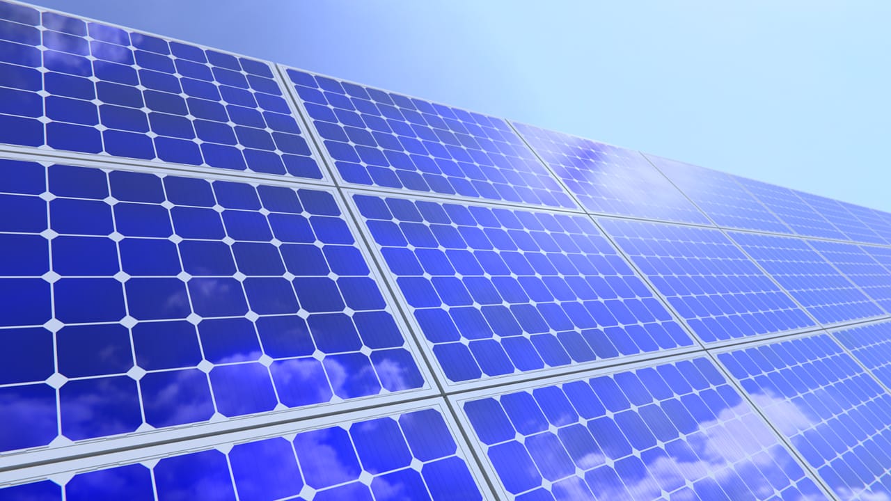 Townsville Solar Clean & Bird Proofing
